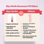 Buy Riyo Herbs Steam Distilled Rose Water Spray for Face, All Skin Types Women & Men - 200 ml - Purplle
