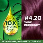 Buy Garnier Color Naturals Creme hair color, Shade 4.20 Wine Burgundy (70 ml + 60 g) - Purplle