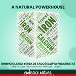 Buy Nature Sure Bhringraj Powder 200g with Rose Water 50 ml - 2 Packs - Purplle