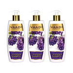 Buy Vaadi Herbals Value Pack Of 3 Lavender Shampoo With Rosemary Extract-Intensive Repair System (350 ml * 3) - Purplle