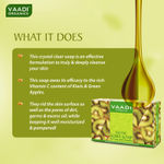Buy Vaadi Herbals Exotic Kiwi Soap with Green Apple Extract (75 g) (Pack of 3) - Purplle
