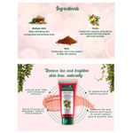 Buy Biotique Fruit Brightening Depigmentation & Tan Removal Face Pack 50gm Tube - Purplle