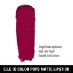 Buy Elle18 Color Pop Matte Lip Color, W14, Berry Tea, 4.3 gm - Purplle