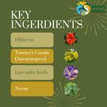 Buy Lakshmi Krishna Naturals Hibiscus shampoo 200 ml - Purplle