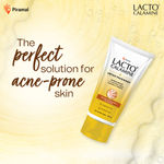 Buy Lacto Calamine Ubtan Face Wash with Sandalwood, Saffron, Neem, Almond & Turmeric |Reduces tan with mild exfoliation | Sulphate, Paraben Free| Suitable for all skin types | 100 ml - Purplle