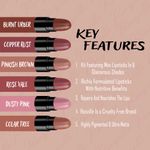 Buy Ronzille Pack of 6 Sexy Lippies Nude Editon 12 gm - Purplle