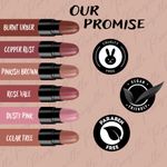 Buy Ronzille Pack of 6 Sexy Lippies Nude Editon 12 gm - Purplle