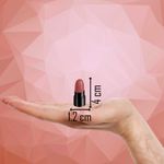 Buy Ronzille Pack of 6 Sexy Lippies Pink Editon 12 gm - Purplle