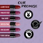 Buy Ronzille Pack of 6 Sexy Lippies Purple Editon 12 gm - Purplle