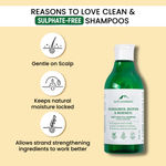 Buy Alps Goodness Fenugreek Biotin & Redensyl Anti Hairfall Shampoo (290 ml) | Methi Hairloss Control Shampoo For All Hair Types | Sulphate, Silicone & Paraben Free | Gentle & Mild Cleansing Shampoo| Vegan - Purplle
