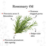 Buy Alps Goodness Wrinkle Reducer Facial Kit - Rosemary (36 gm) - Purplle