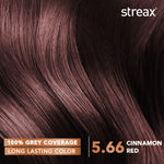 Buy Streax Hair Colour - Cinnamon Red (120 ml) - Purplle