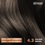 Buy Streax Hair Colour - Golden Brown (120 ml) - Purplle