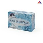 Buy Healthy Forever Aqua Fresh Soap Handmade Soap Infused With Vitamin E Oil For on Acne, Dark Spots 120 g - Purplle