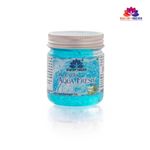 Buy Healthy Forever Homemade Aqua Fresh Gel with Pure Aloe Vera for All Skin Types Pack of 1 120 g - Purplle