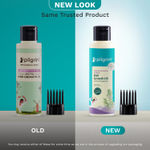 Buy Pilgrim Rosemary & Biotin Hair Growth Oil to Control Hair Fall, 100 ml, Strengthens Hair roots, Improves Hair Growth & Thickness, For Men & Women - Purplle