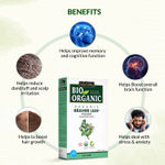 Buy Indus Valley Bio Organic 100% Pure Brahmi Powder (100 gm) - Purplle