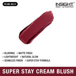 Buy Insight Cosmetics Super Stay Cream Blush- Plum Jelly 10 gm - Purplle