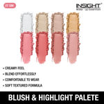 Buy Insight Cosmetics Blush & Highlight Palette 27 gm - Purplle