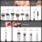 Buy Swiss Beauty Professional Makeup Brush Set - 12Pcs Set - Purplle