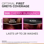 Buy L'Oreal Paris Casting Creme Gloss Hair Color With Glycolic Gloss Complex | Ultra Visible Shade 566 - Cherry Burgundy | 60ml + 40ml + 60g - Purplle