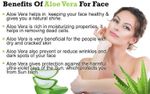 Buy Online Quality Store Aloe Vera Gel - 200 gm|Multipurpose Gel |Anti-acne,Anti aging gel |No Parabens, No Sulphates, No Mineral oil, Not tested on animals{aloveragel_g200} - Purplle