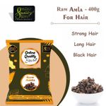 Buy Online Quality Store Raw Amla - 400 gm |100% Natural, No Preservatives |Organic Amla Indian Gooseberry raw form for Hair and skin |raw amla for hair growth organic |indian gooseberry amla - Purplle