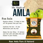Buy Online Quality Store Raw Amla - 400 gm |100% Natural, No Preservatives |Organic Amla Indian Gooseberry raw form for Hair and skin |raw amla for hair growth organic |indian gooseberry amla - Purplle