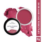 Buy Aravi Organic Lip and Cheek Tint - With Goodness of Vitamin E & Candelila Wax - Nourishes & Hydrates Dry Chapped Lips, Blush & Eyeshadow Fo All Skin Types - 8 gm (Rosy Rush) - Purplle