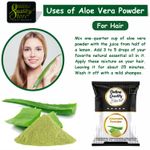 Buy Online Quality Store Aloe Vera Powder - 100 gm |Pure Aloe Vera Skin/Hair Powder With Vitamin E & Natural Emollients (Paraben Free) | alovera powder for face{powderalovera100} - Purplle