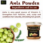 Buy Online Quality Store Amla Powder - 100 gm |Amla powder |Organic Amla Indian Gooseberry Powder for Hair and skin |amla powder for hair growth organic |indian gooseberry {jar_Amla_100g} - Purplle
