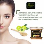 Buy Online Quality Store Amla Powder - 100 gm |Amla powder |Organic Amla Indian Gooseberry Powder for Hair and skin |amla powder for hair growth organic |indian gooseberry {jar_Amla_100g} - Purplle