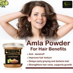 Buy Online Quality Store Amla Powder - 100 gm |Amla powder |Organic Amla Indian Gooseberry Powder for Hair and skin |amla powder for hair growth organic |indian gooseberry {jar_Amla_100g} - Purplle