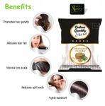 Buy Online Quality Store Bhringraj Powder - 100 gm|Bhringraj powder for hair |Eclipta alba for Hair |Hair Pack Powder |hair pack powder |bhringrajasava |bhringraj |natural hair {Bhringraj_powder_100} - Purplle