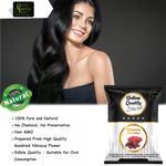 Buy Online Quality Store Hibiscus Powder - 100 gm |Organic Hibiscus Powder-100g | 100% Pure & Natural Hibiscus Flower Powder |Hibiscus Rosa-Sinensis For Hair Care & Face Pack| Gudhal Ka Phool Powder for Hair Conditioning - Purplle