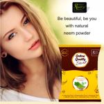 Buy Online Quality Store Neem Powder - 300 g|Pure Neem Powder | No Chemicals |No Preservative, No Pesticides |face mask for acne |Acne Treatment |Dandruff Treatment{Neem_Powder_300 gm} - Purplle