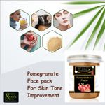 Buy Online Quality Store Pomegranate Powder - 100 gm |pomegranate peel powder |pomegranate peel for face,body,skin & hair |anar ka powder |organic pomegranate peel {Jar_pomegranate_100g} - Purplle