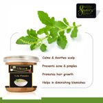 Buy Online Quality Store Tulsi Powder - 200 gm |tulsi powder for face organic |tulsi leaf powder |Tulsi Leaf/Leaves/Ocimum Sanctum |Holy Basil Powder for Skin & Hair |Ocimum Sanctum{Jar_tulsi_powder_200g} - Purplle