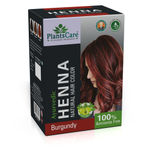 Buy Plants Care Ayurvedic Henna Natural Hair Color Burgundy 240 gm - Purplle