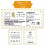 Buy Tea Treasure Peppermint Herbal Infusion Tea - Antioxidants Rich Refreshing Tea - 1 TeaBox (18 Pyramid Tea Bags) - Purplle