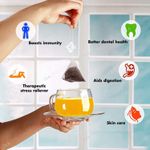 Buy Tea Treasure Peppermint Herbal Infusion Tea - Antioxidants Rich Refreshing Tea - 1 TeaBox (18 Pyramid Tea Bags) - Purplle