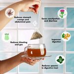 Buy Tea Treasure Belly Soother Tea - Stomach Ease Tea for Bloating, Heart Burn and Indigestion - 1 Teabox (18 Pyramid Tea Bags) - Purplle