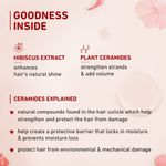Buy Plum Hibiscus & Ceramides Long & Healthy Shampoo|Helps Boost Hair Growth, Prevents Split Ends 75 ml - Purplle