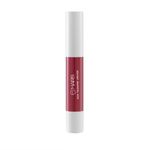 Buy MARS Matte Super Stay Lipstick | Up to 12 Hours Long Lasting | Smudge Proof and Waterproof Lipstick for Women (2.6 gm) (23-REBEL) - Purplle