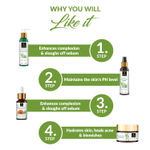 Buy Good Vibes Anti- Acne Skin Routine With Power Of Tea Tree (Facewash 120ml + Toner 120ml + Serum 30ml + Face Gel 50 gm) - Purplle
