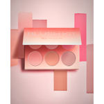 Buy Europegirl Cosmetics Blusher Palette- 50 gm - Purplle