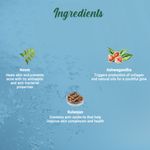 Buy Biotique Fresh Neem Pimple Control Face Wash 100 ml - Purplle