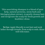 Buy Biotique Bio OCEAN KELP Anti Hair fall Shampoo (340 ml) - Purplle