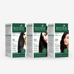 Buy Biotique Bio Herbcolor 3N Darkest Brown (50 g +110 ml) - Purplle