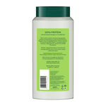 Buy Biotique Soya Protein Intense Repair Shampoo & Conditioner (340 ml) - Purplle